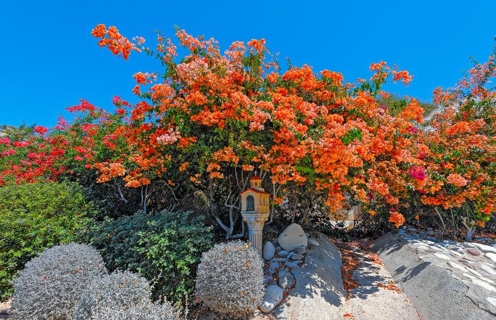 Apartmán Adamou Gardens Paphos Exteriér fotografie